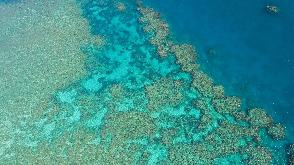 Světový klenot chráníte málo, vzkazuje UNESCO Austrálii kvůli útesu